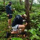 Volunteers in the jungle Costa Rica